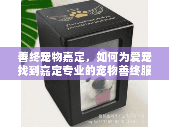 善终宠物嘉定，如何为爱宠找到嘉定专业的宠物善终服务？