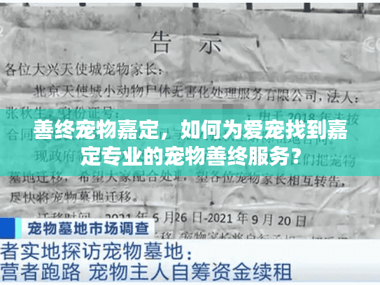 善终宠物嘉定，如何为爱宠找到嘉定专业的宠物善终服务？