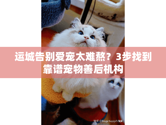 运城告别爱宠太难熬？3步找到靠谱宠物善后机构