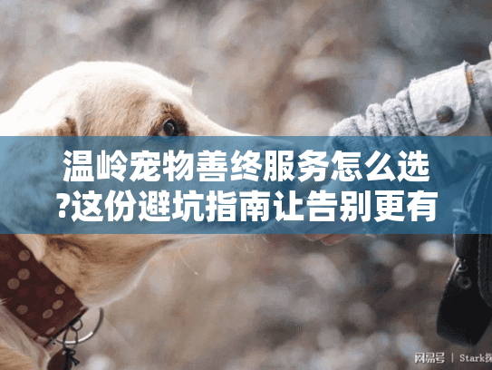 温岭宠物善终服务怎么选?这份避坑指南让告别更有尊严