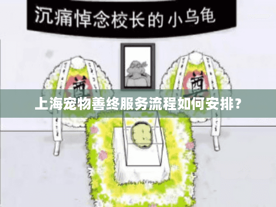 上海宠物善终服务流程如何安排？