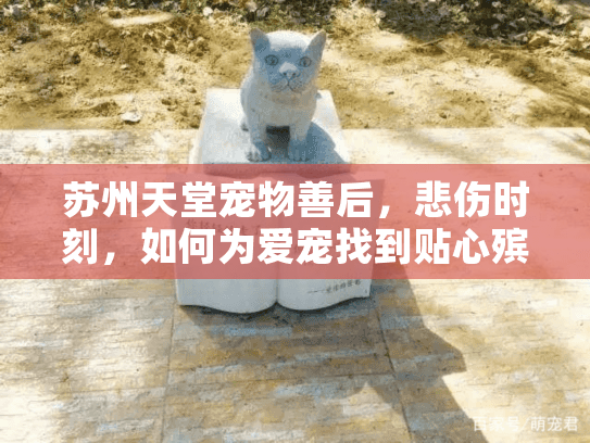 苏州天堂宠物善后，悲伤时刻，如何为爱宠找到贴心殡葬服务？