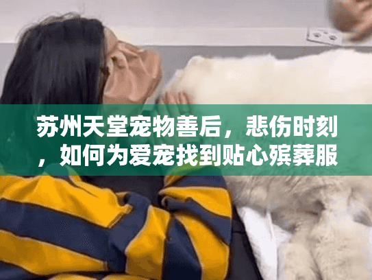 苏州天堂宠物善后，悲伤时刻，如何为爱宠找到贴心殡葬服务？