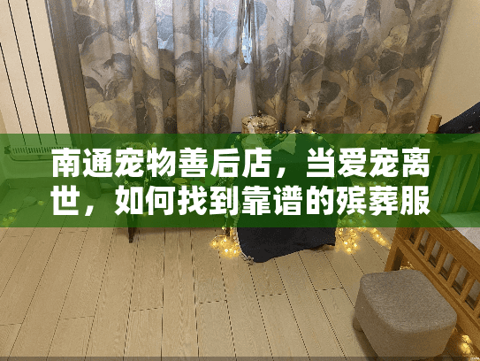 南通宠物善后店，当爱宠离世，如何找到靠谱的殡葬服务？