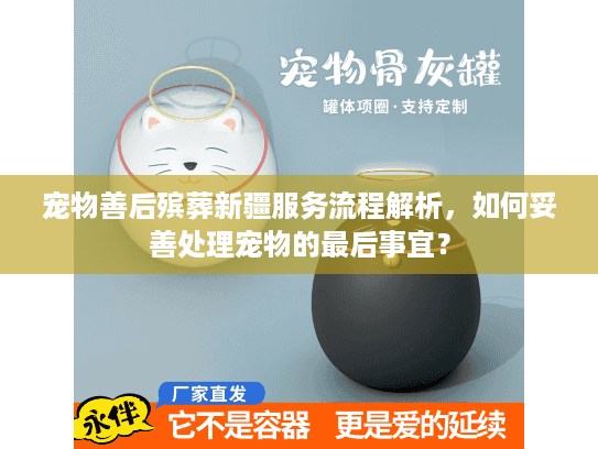 宠物善后殡葬新疆服务流程解析，如何妥善处理宠物的最后事宜？