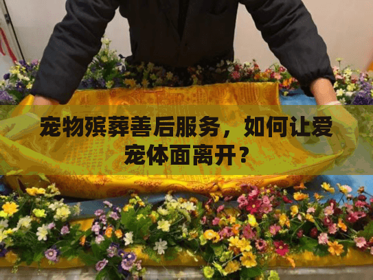 宠物殡葬善后服务，如何让爱宠体面离开？