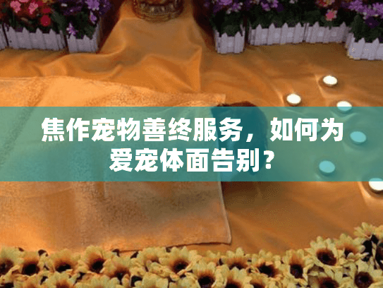 焦作宠物善终服务，如何为爱宠体面告别？