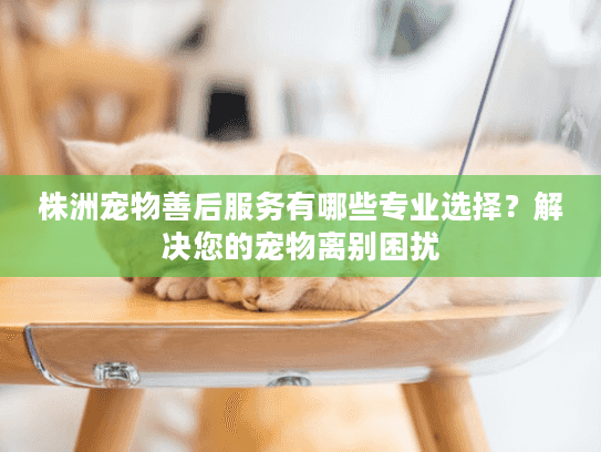 株洲宠物善后服务有哪些专业选择？解决您的宠物离别困扰