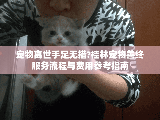 宠物离世手足无措?桂林宠物善终服务流程与费用参考指南