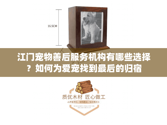 江门宠物善后服务机构有哪些选择？如何为爱宠找到最后的归宿