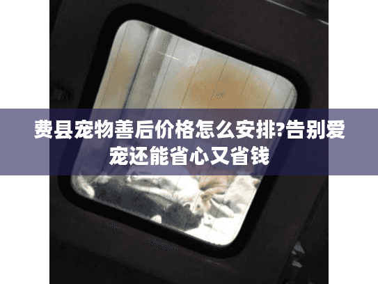 费县宠物善后价格怎么安排?告别爱宠还能省心又省钱