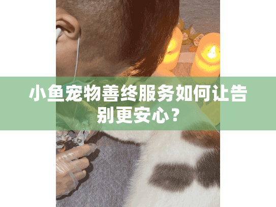 小鱼宠物善终服务如何让告别更安心？