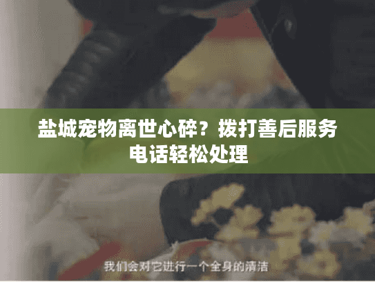 盐城宠物离世心碎？拨打善后服务电话轻松处理
