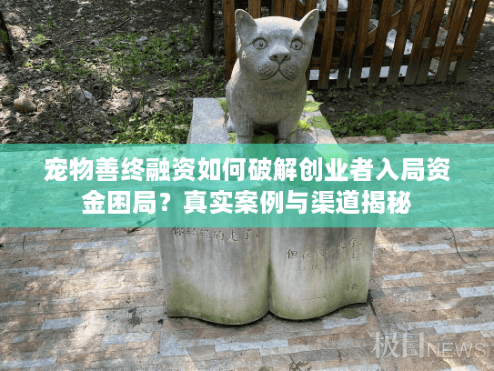 宠物善终融资如何破解创业者入局资金困局？真实案例与渠道揭秘