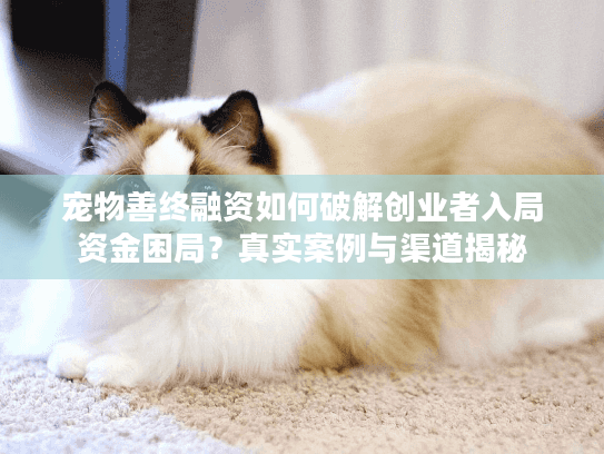 宠物善终融资如何破解创业者入局资金困局？真实案例与渠道揭秘