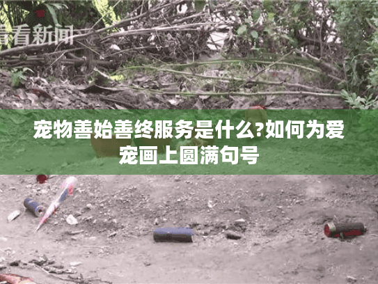 宠物善始善终服务是什么?如何为爱宠画上圆满句号