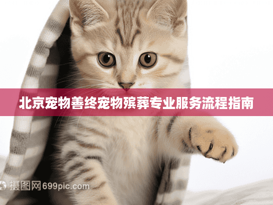 北京宠物善终宠物殡葬专业服务流程指南
