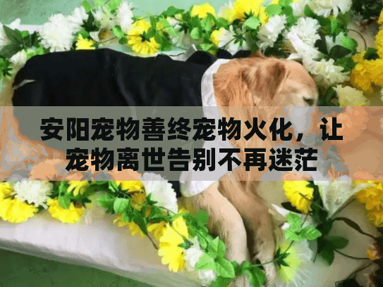 安阳宠物善终宠物火化，让宠物离世告别不再迷茫