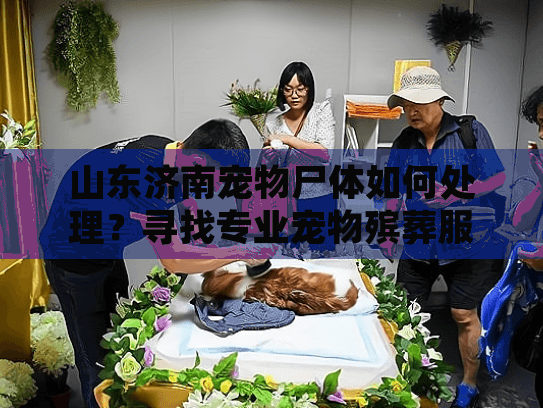 山东济南宠物尸体如何处理？寻找专业宠物殡葬服务解决方案
