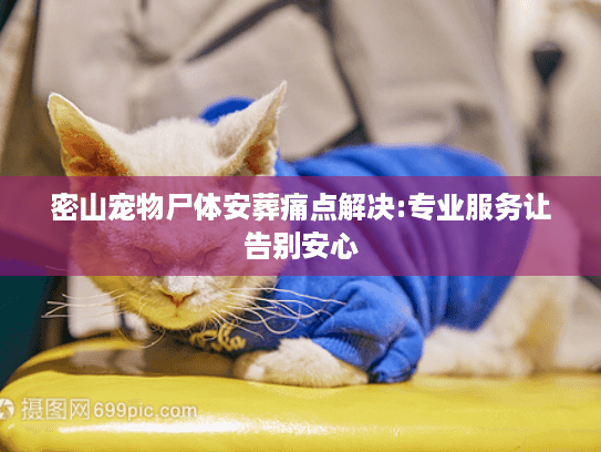 密山宠物尸体安葬痛点解决:专业服务让告别安心