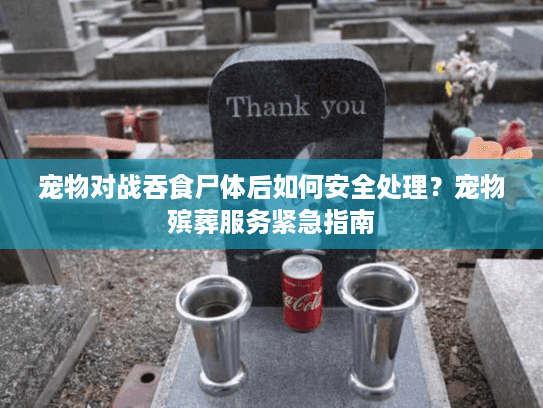 宠物对战吞食尸体后如何安全处理？宠物殡葬服务紧急指南