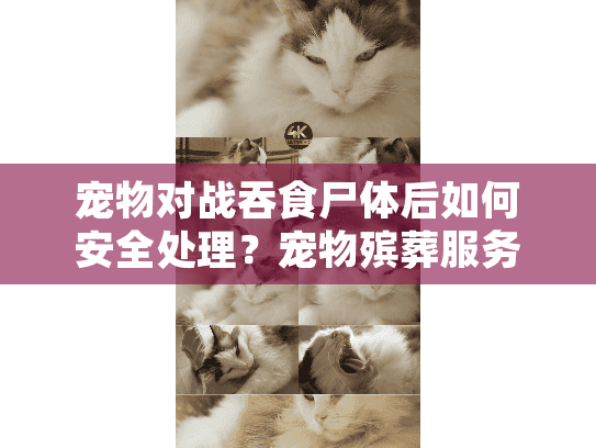 宠物对战吞食尸体后如何安全处理？宠物殡葬服务紧急指南
