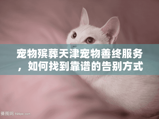 宠物殡葬天津宠物善终服务，如何找到靠谱的告别方式？