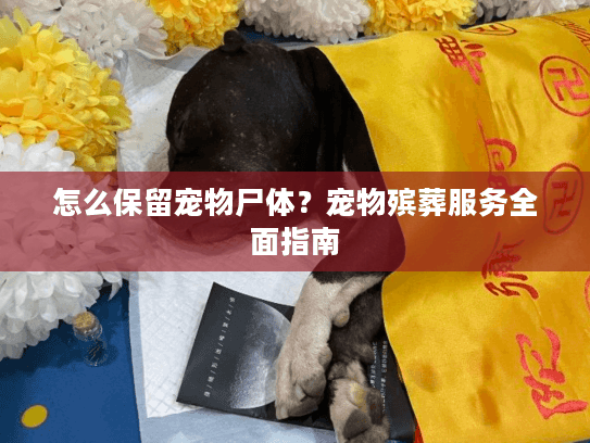 怎么保留宠物尸体？宠物殡葬服务全面指南