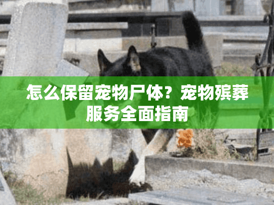 怎么保留宠物尸体？宠物殡葬服务全面指南