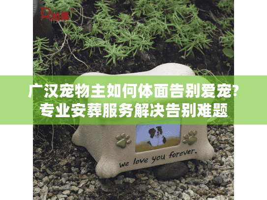 广汉宠物主如何体面告别爱宠?专业安葬服务解决告别难题