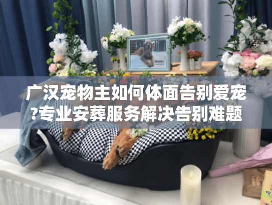 广汉宠物主如何体面告别爱宠?专业安葬服务解决告别难题