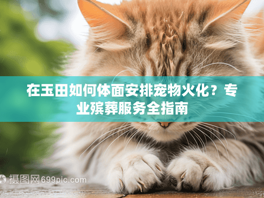 在玉田如何体面安排宠物火化？专业殡葬服务全指南