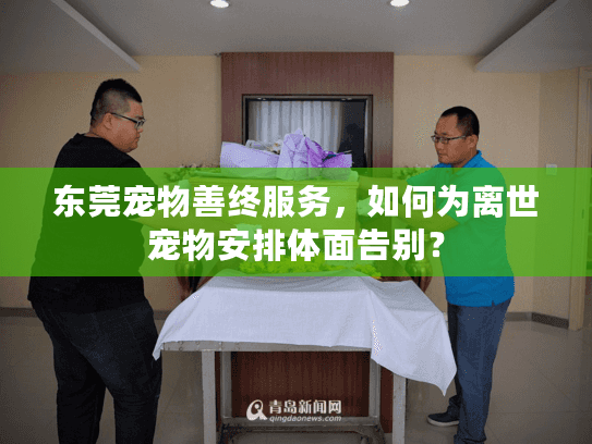 东莞宠物善终服务，如何为离世宠物安排体面告别？