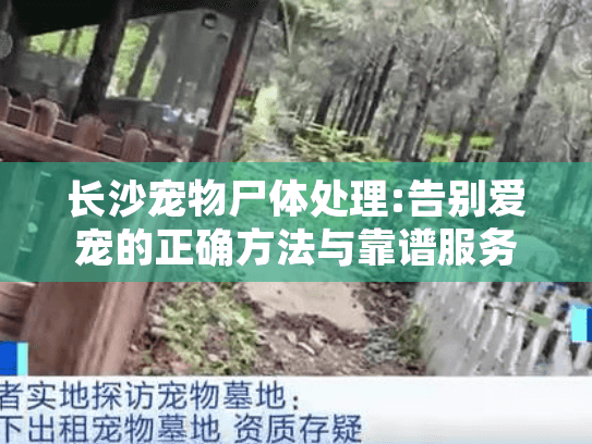 长沙宠物尸体处理:告别爱宠的正确方法与靠谱服务推荐