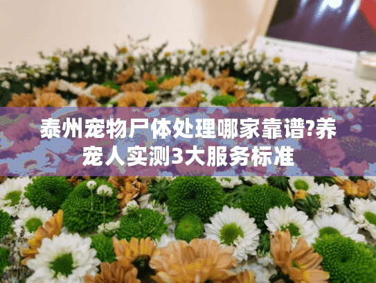 泰州宠物尸体处理哪家靠谱?养宠人实测3大服务标准