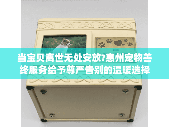当宝贝离世无处安放?惠州宠物善终服务给予尊严告别的温暖选择