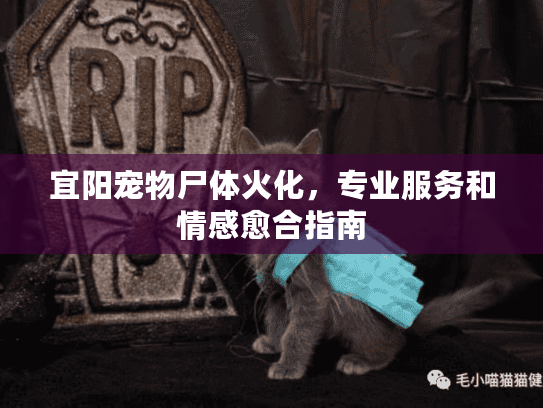 宜阳宠物尸体火化，专业服务和情感愈合指南