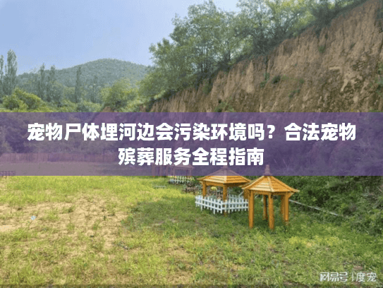 宠物尸体埋河边会污染环境吗？合法宠物殡葬服务全程指南
