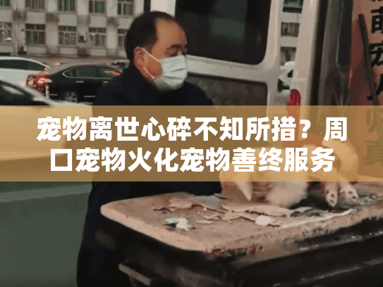 宠物离世心碎不知所措？周口宠物火化宠物善终服务助你温情告别
