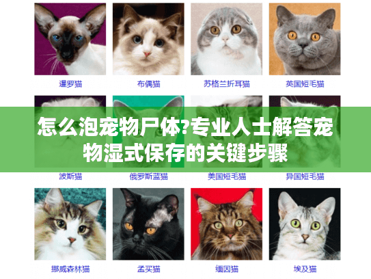 怎么泡宠物尸体?专业人士解答宠物湿式保存的关键步骤