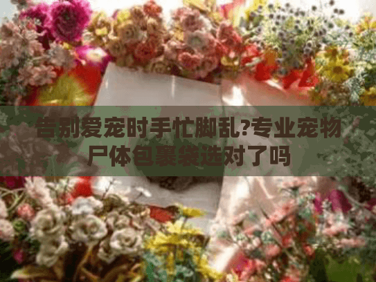 告别爱宠时手忙脚乱?专业宠物尸体包裹袋选对了吗