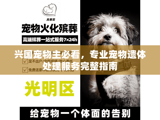 兴国宠物主必看，专业宠物遗体处理服务完整指南