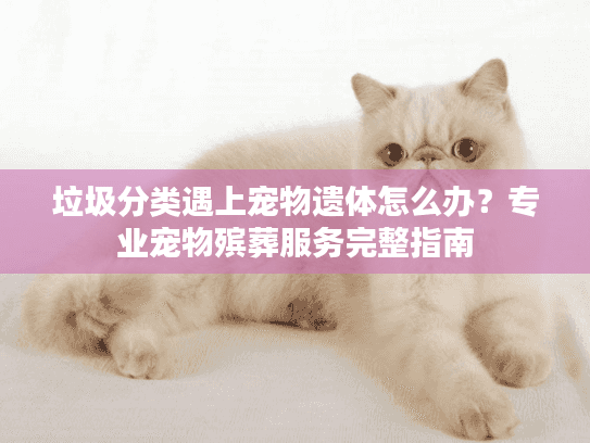垃圾分类遇上宠物遗体怎么办？专业宠物殡葬服务完整指南