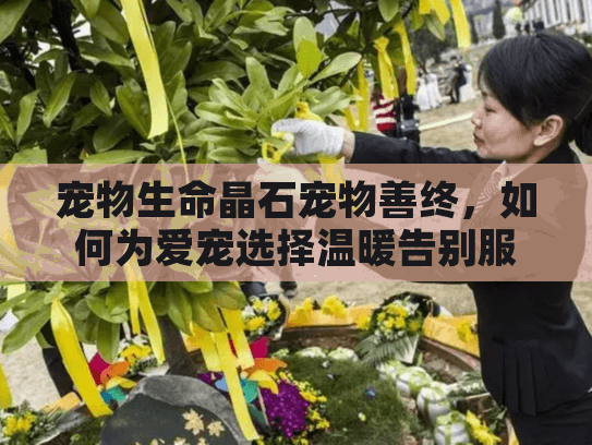 宠物生命晶石宠物善终，如何为爱宠选择温暖告别服务？
