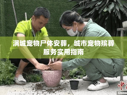 满城宠物尸体安葬，城市宠物殡葬服务实用指南