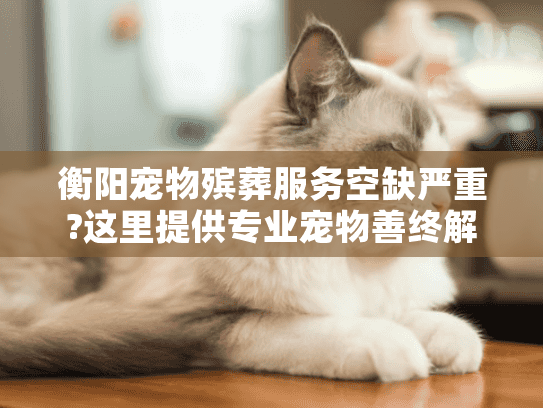 衡阳宠物殡葬服务空缺严重?这里提供专业宠物善终解决方案