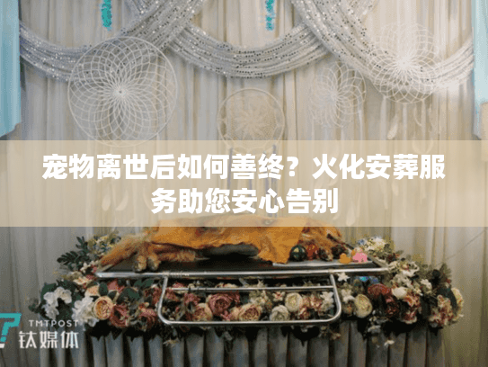 宠物离世后如何善终？火化安葬服务助您安心告别