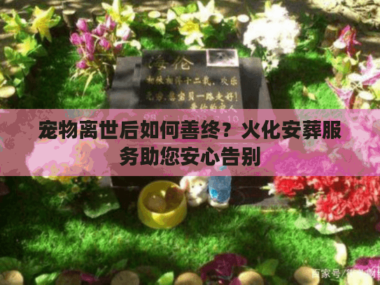 宠物离世后如何善终？火化安葬服务助您安心告别