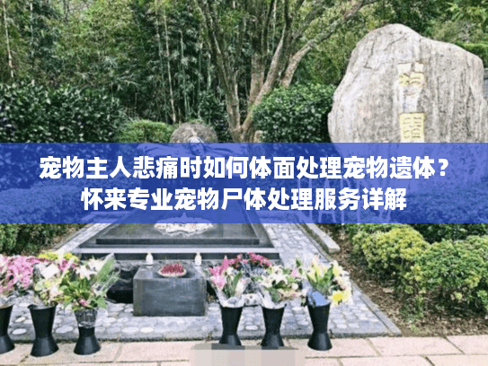 宠物主人悲痛时如何体面处理宠物遗体？怀来专业宠物尸体处理服务详解
