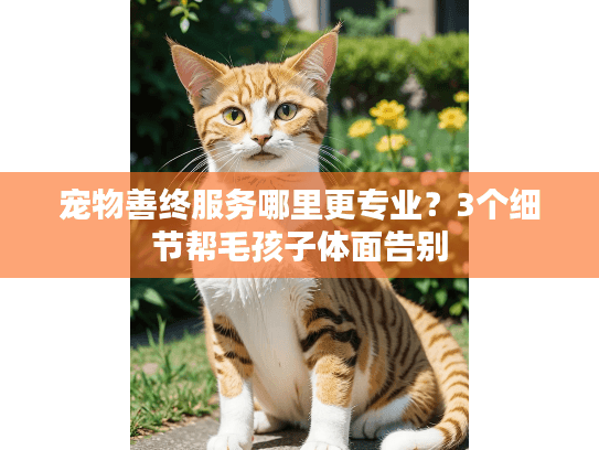 宠物善终服务哪里更专业？3个细节帮毛孩子体面告别